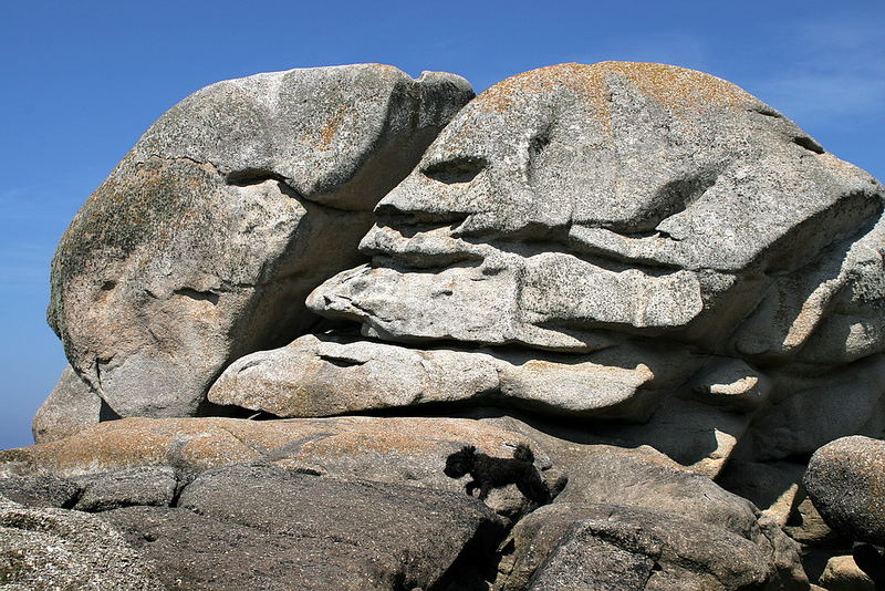 Hund mit Felsen