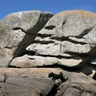 Hund mit Felsen