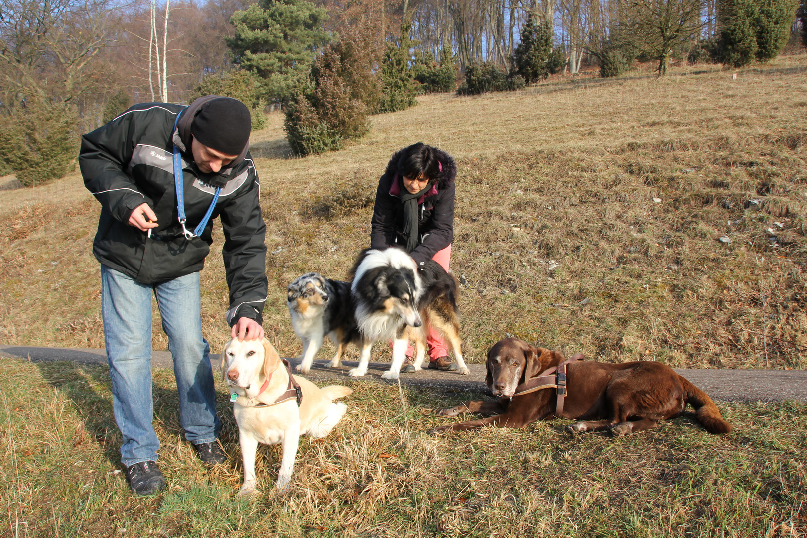 Hund müsste man sein