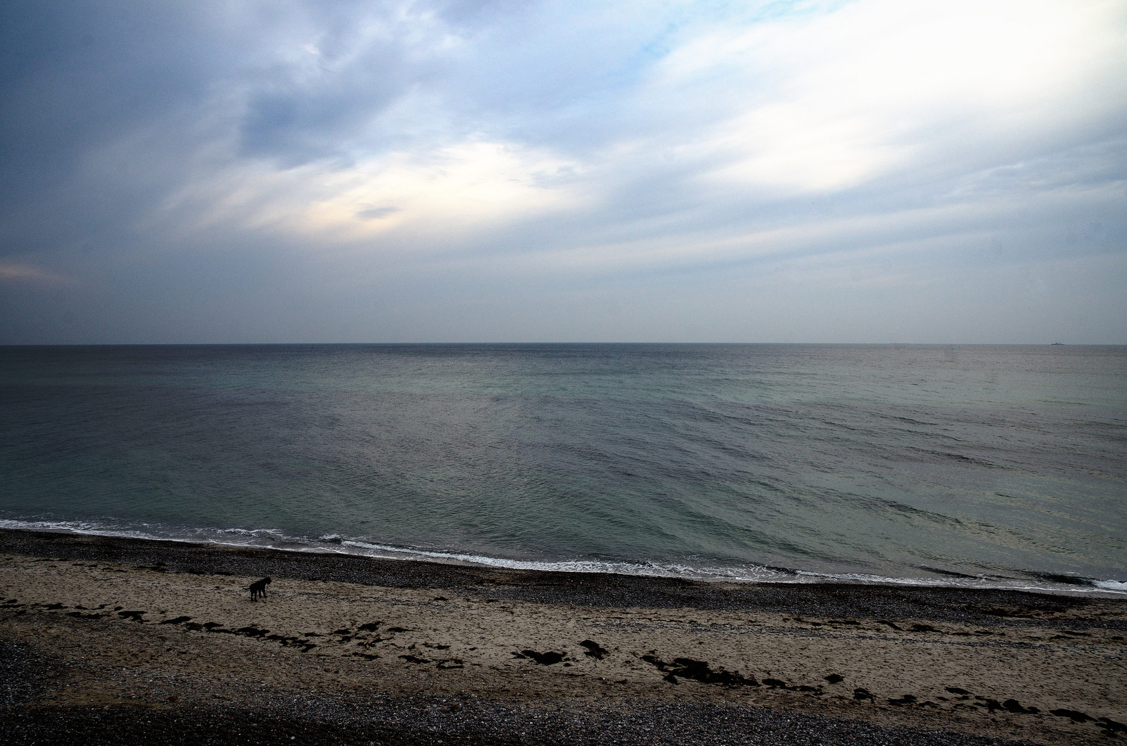 Hund, Ostsee