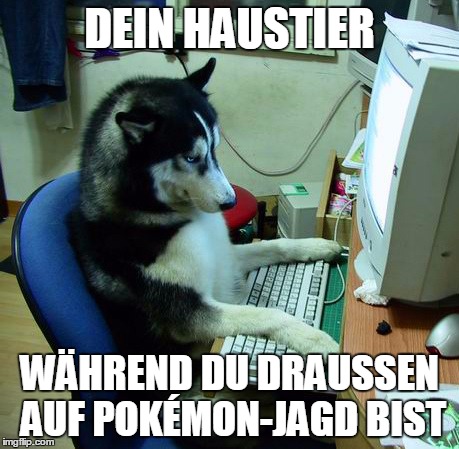 Hund-Pokemon