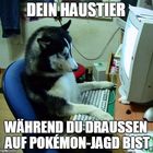 Hund-Pokemon