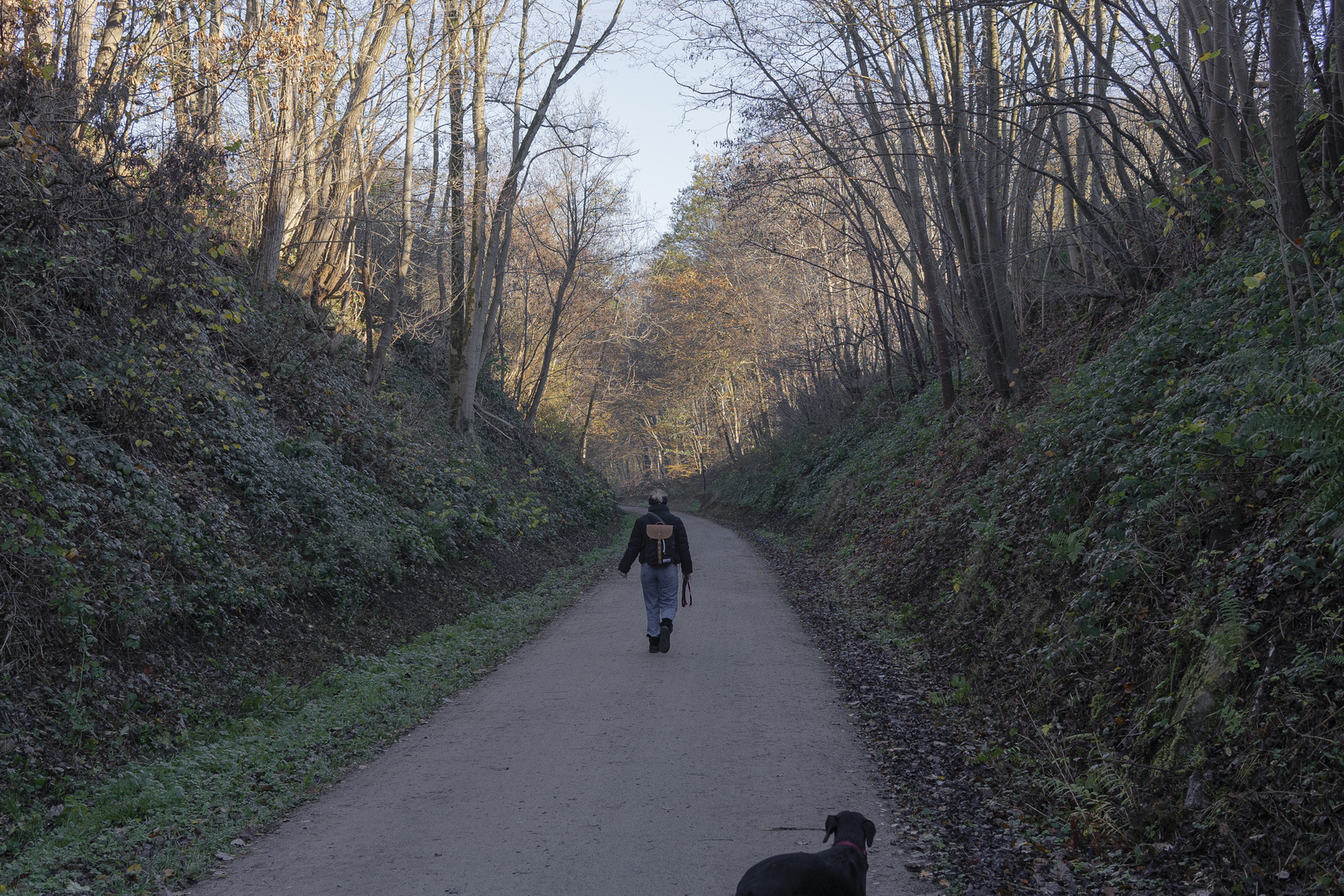 Hund sieht Wanderleidenschaft eher skeptisch.