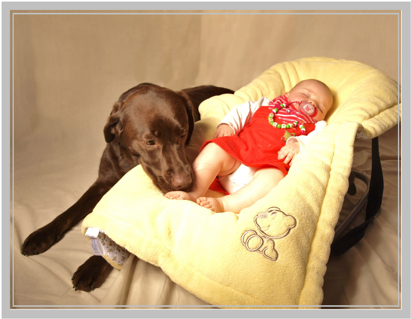 Hund und Baby