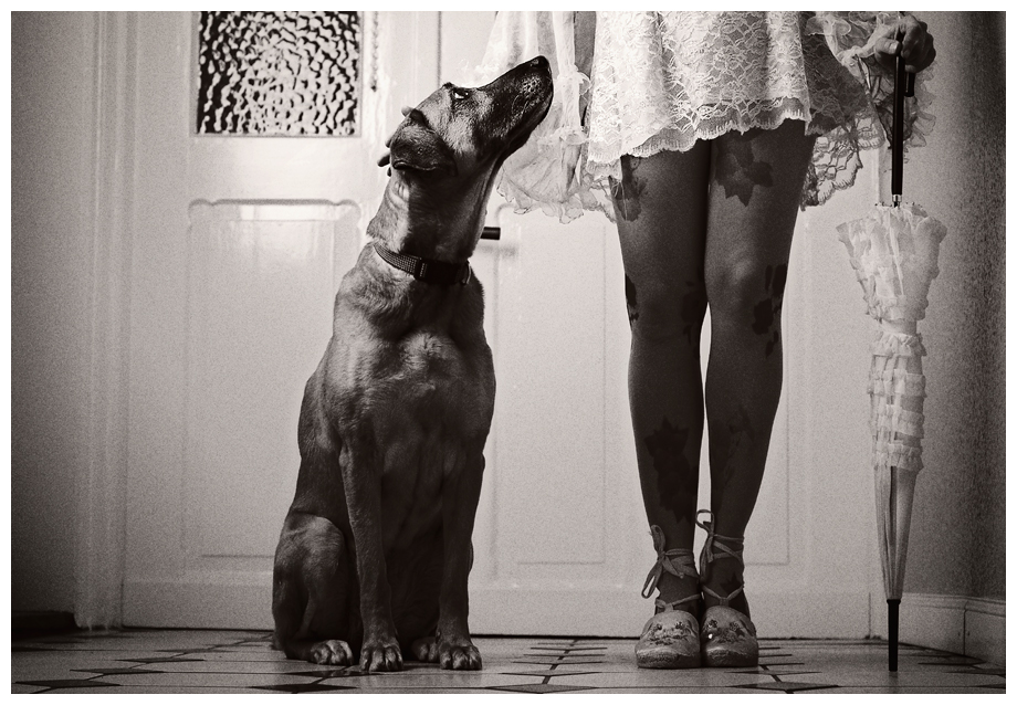 Hund und Dame