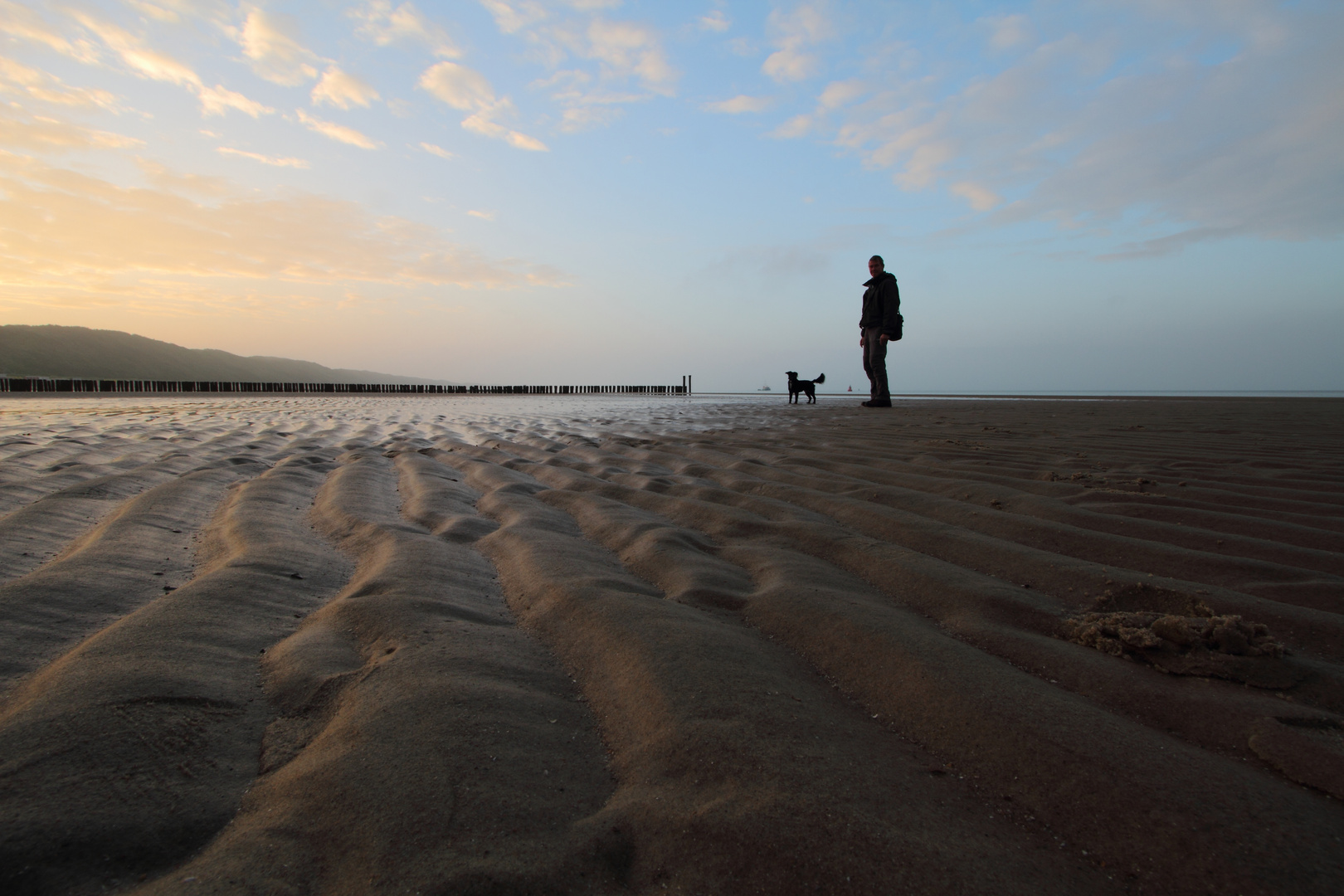 Hund und Herrchen..