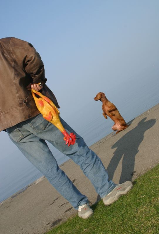 Hund und Herrchen