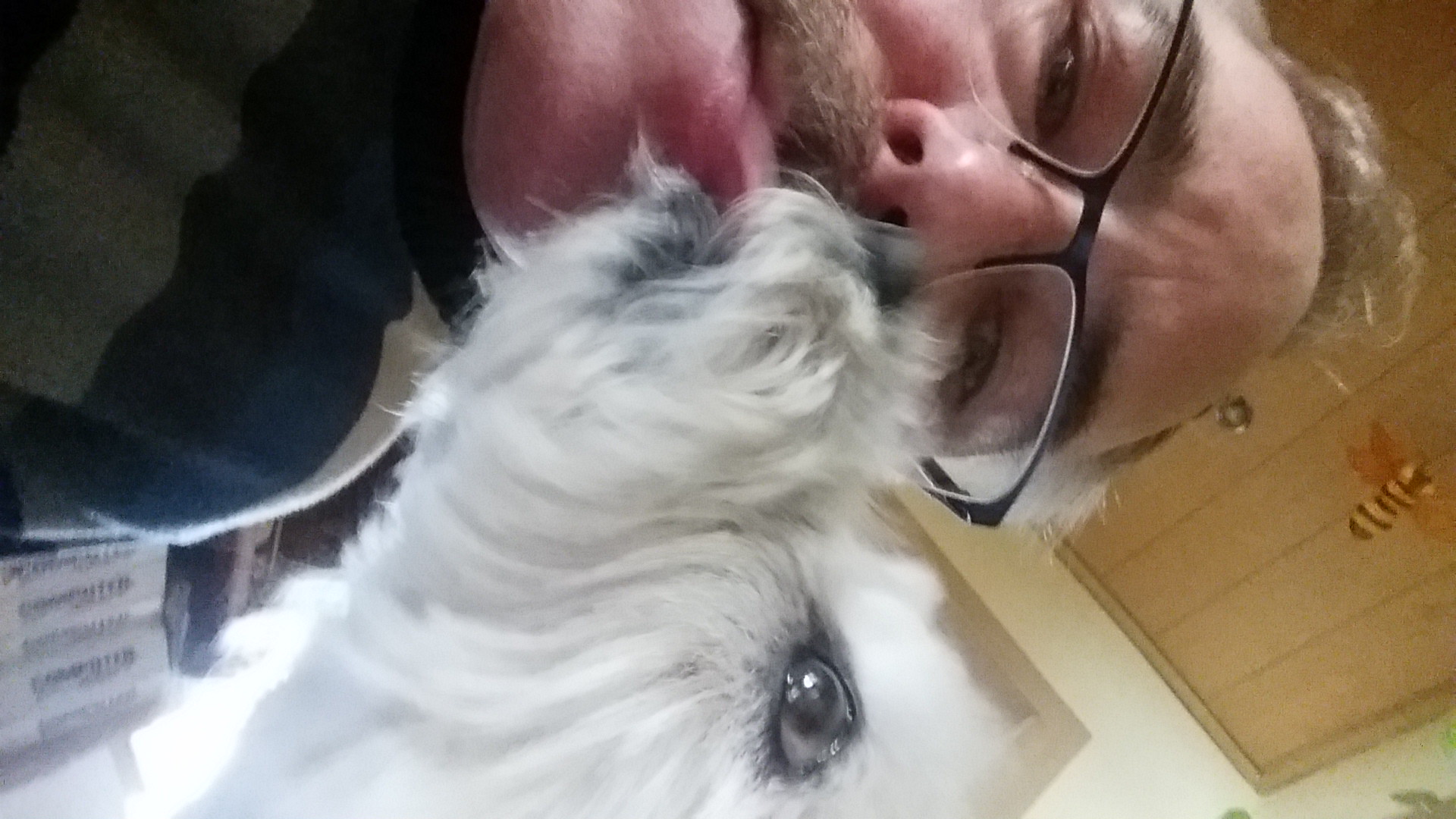 Hund und Herrchen Foto &amp; Bild archiv, a r c h i v aktuell