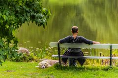 Hund und Herrchen - Gut Panker/Schleswig-Holstein