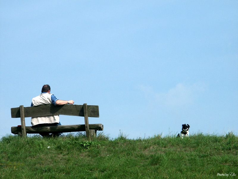 Hund und Herrchen oder Herrchen und Hund