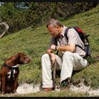 Hund und Herrl