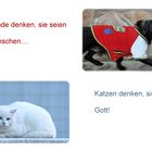 Hund und Katze