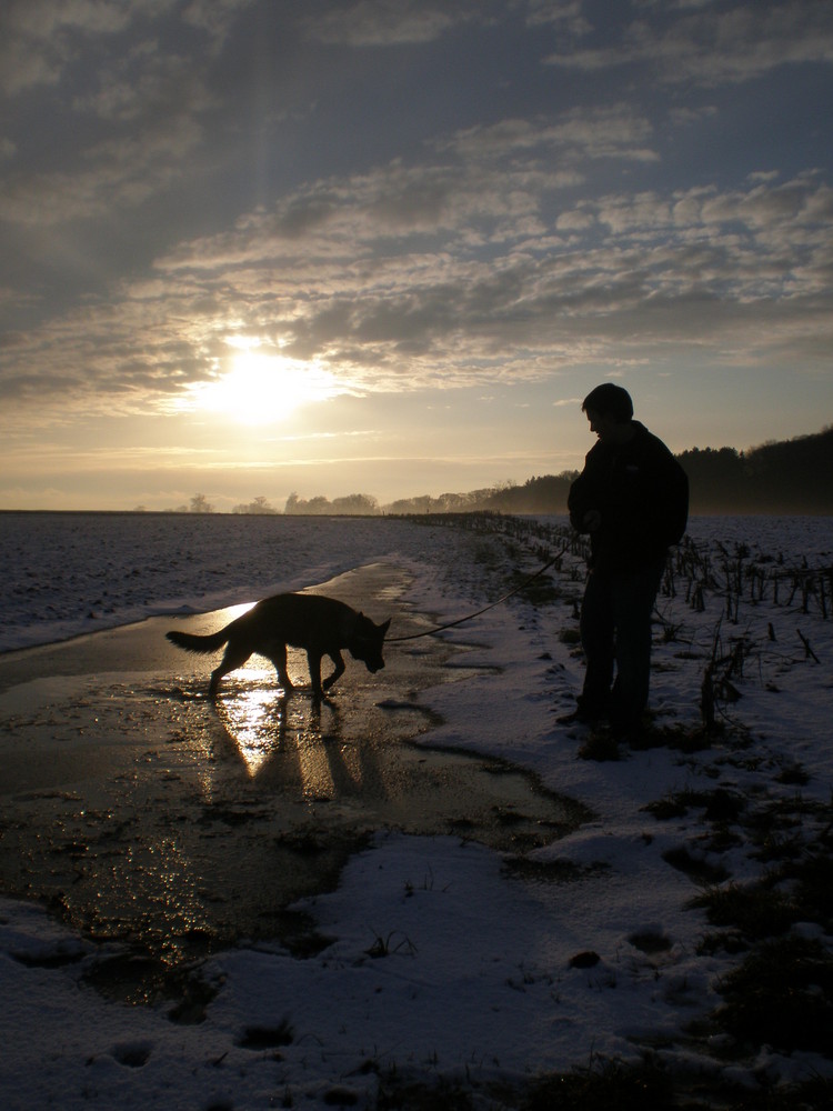 Hund und Mensch beim Sonnenuntergang