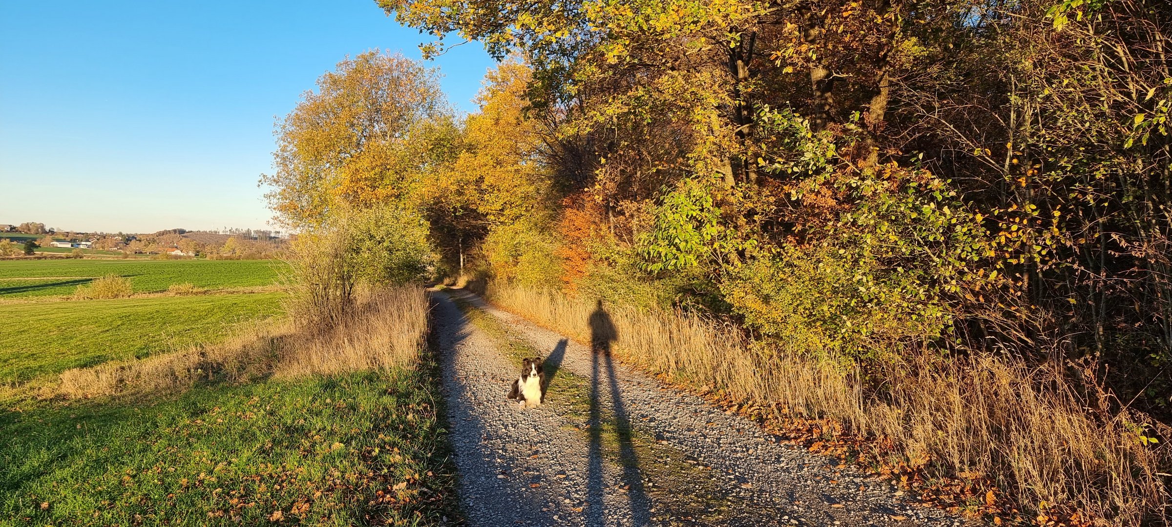 Hund und Mensch...