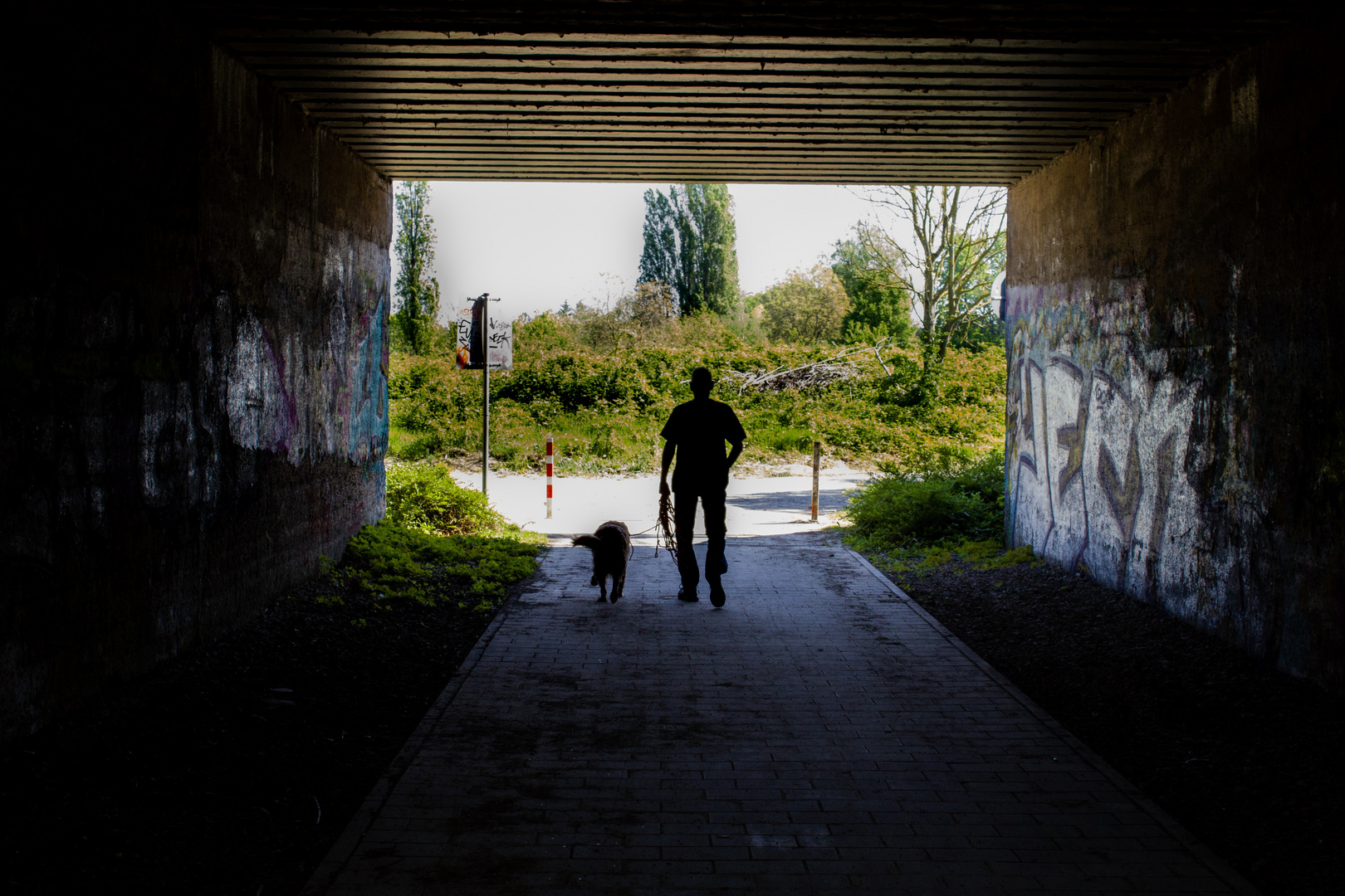 Hund und Mensch im Tunnel