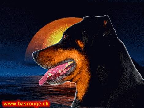Hund und Mond (Fotomontage)