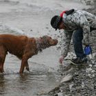 Hund und Wasser