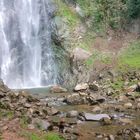 Hund vor dem Vilpianer Wasserfall