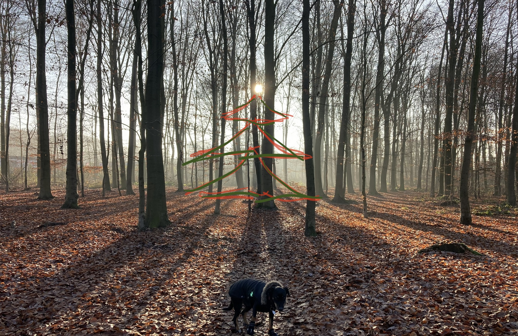 Hund wünscht allen hier frohe Festtage mit der Familie im engen Kreis.