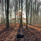 Hund wünscht allen hier frohe Festtage mit der Familie im engen Kreis.