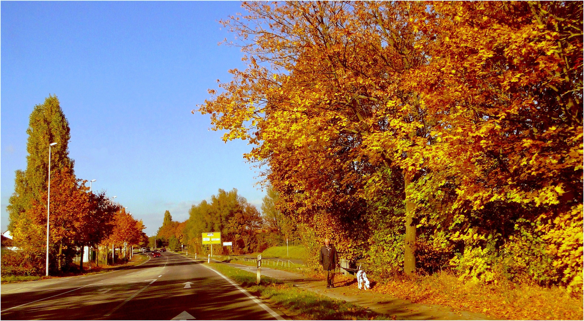 Hundchen und Herrchen genießen den goldenen Oktober