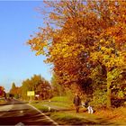 Hundchen und Herrchen genießen den goldenen Oktober