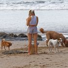 Hunde am Strand