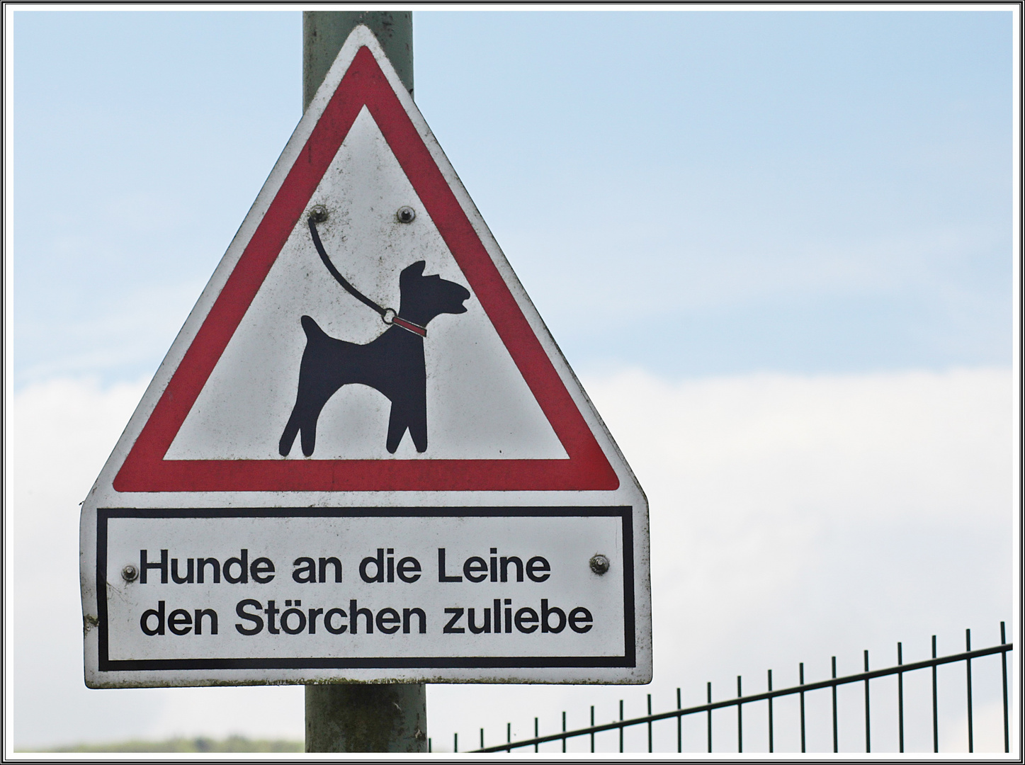 Hunde an die Leine