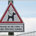 Hunde an die Leine