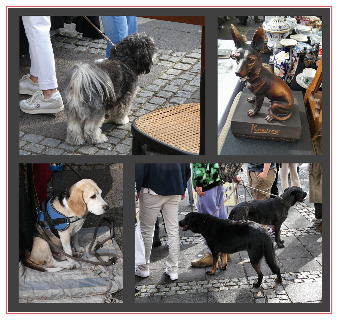 Hunde auf dem Flohmarkt