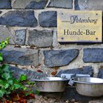 Hunde Bar