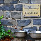 Hunde Bar