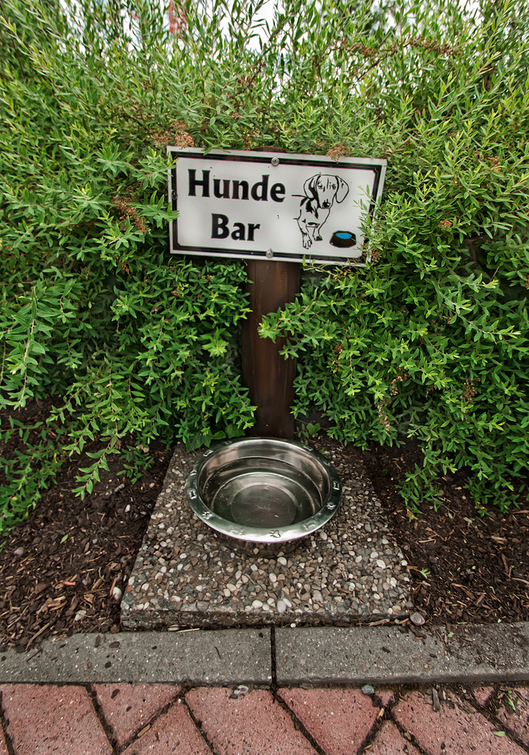 Hunde Bar in Winterberg