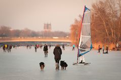 Hunde-Begletung