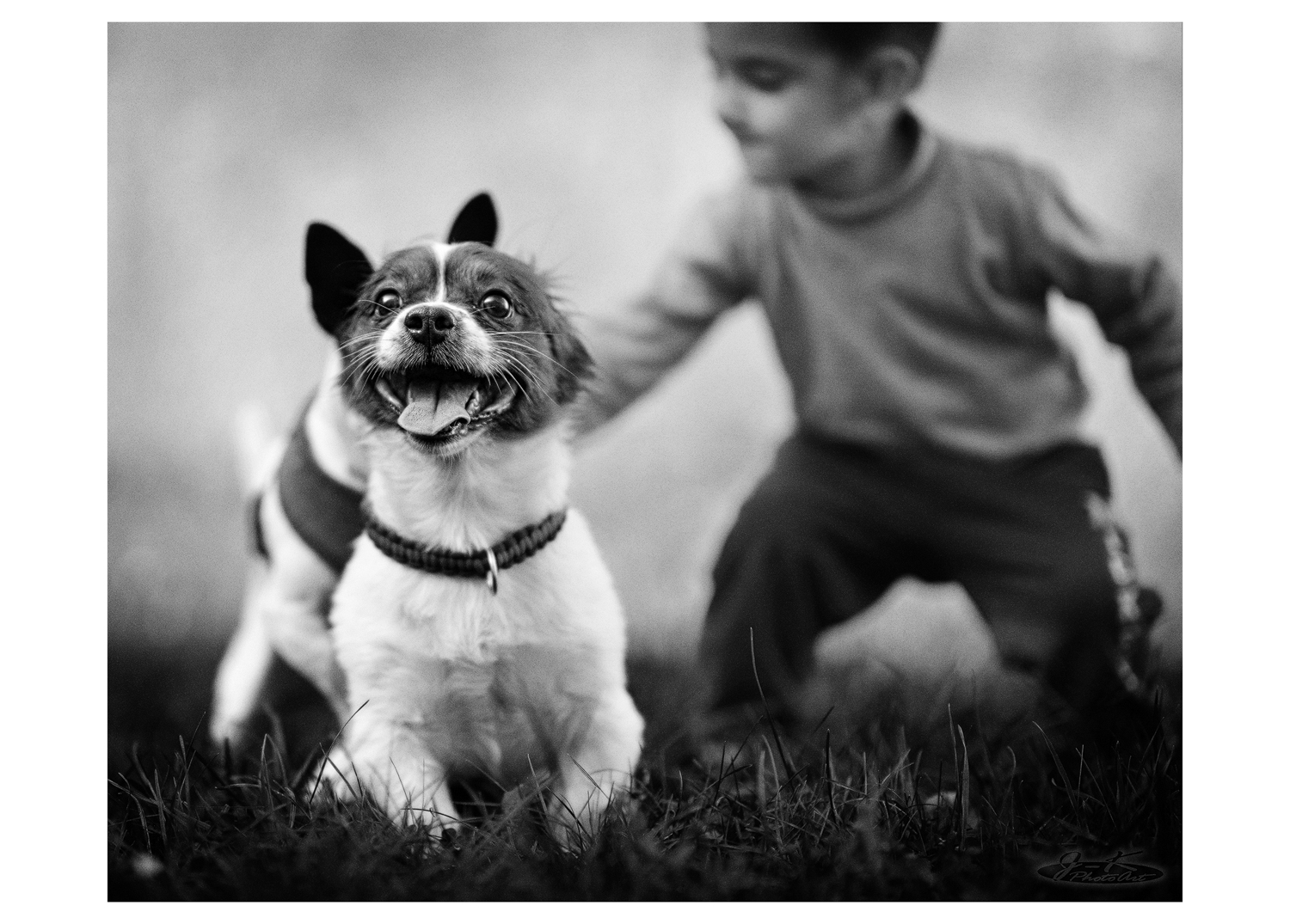 * Hunde, die poppen, beißen nicht *