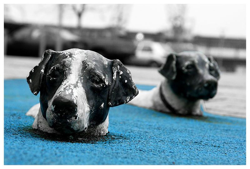 Hunde im Wasser - Moderne Skulptur