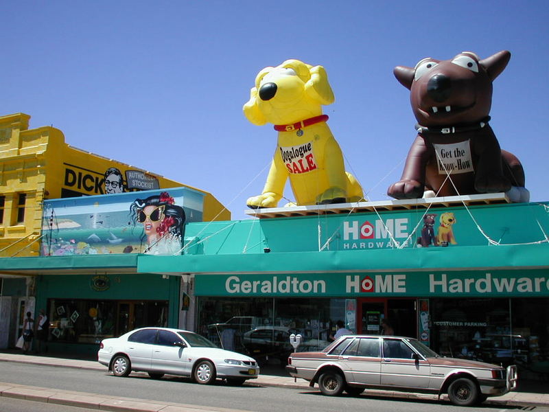 Hunde in Geraldton, Western Australia