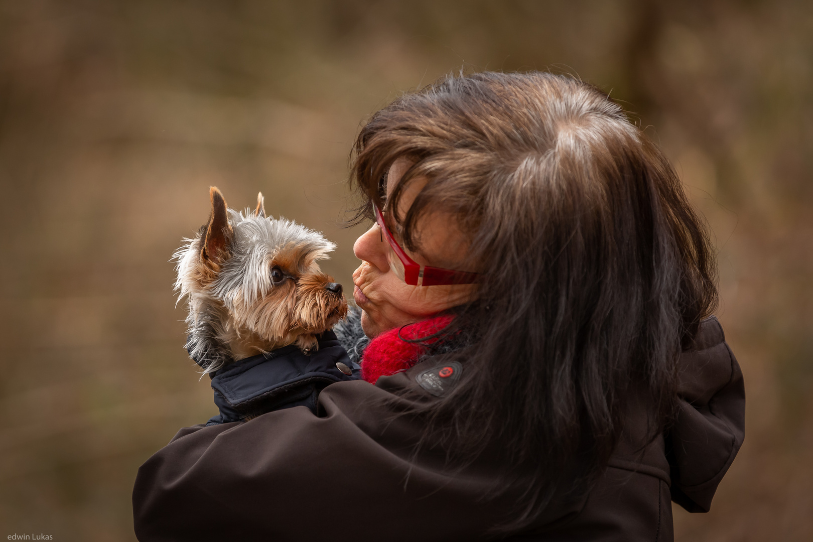 Hunde Liebe........