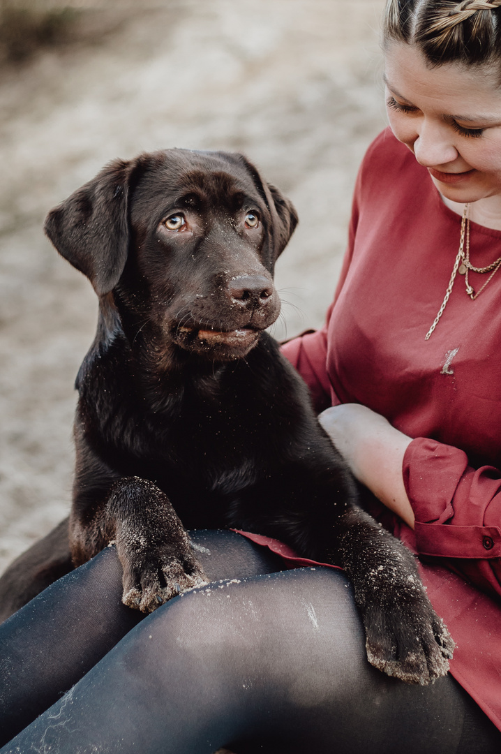 Hunde | Menschen | Momente