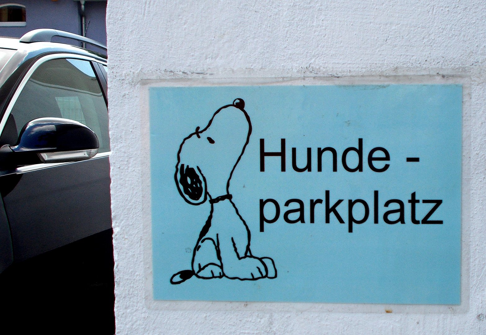 Hunde mit Führerschein 