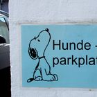 Hunde mit Führerschein 