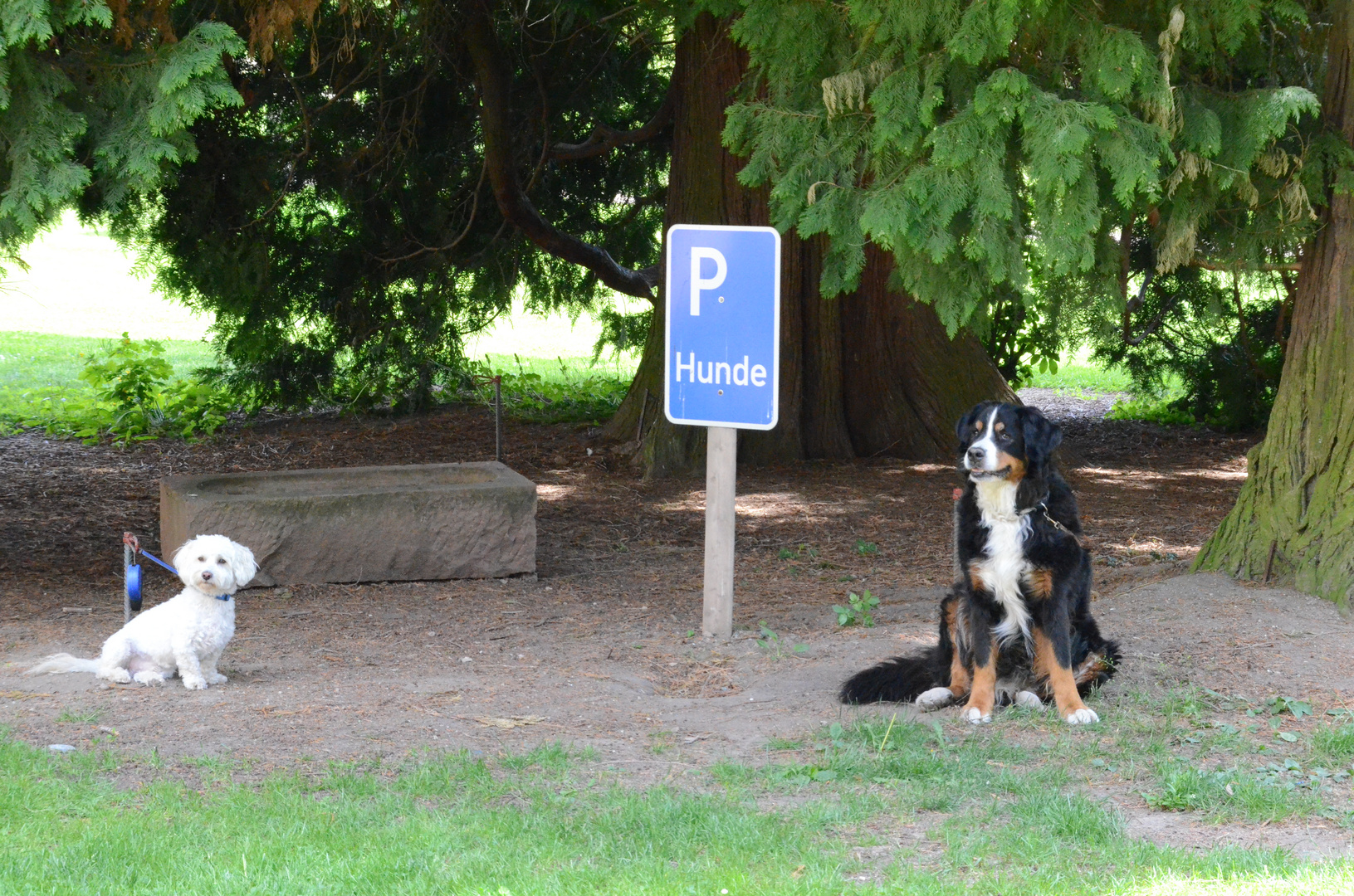 Hunde-Parkplatz