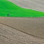 Hunde- Spaziergang