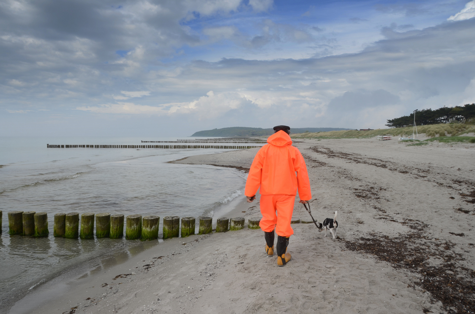 Hunde Spaziergang Strand Vitte 