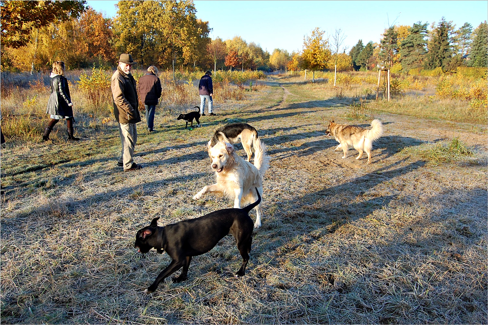 Hunde und Menschen