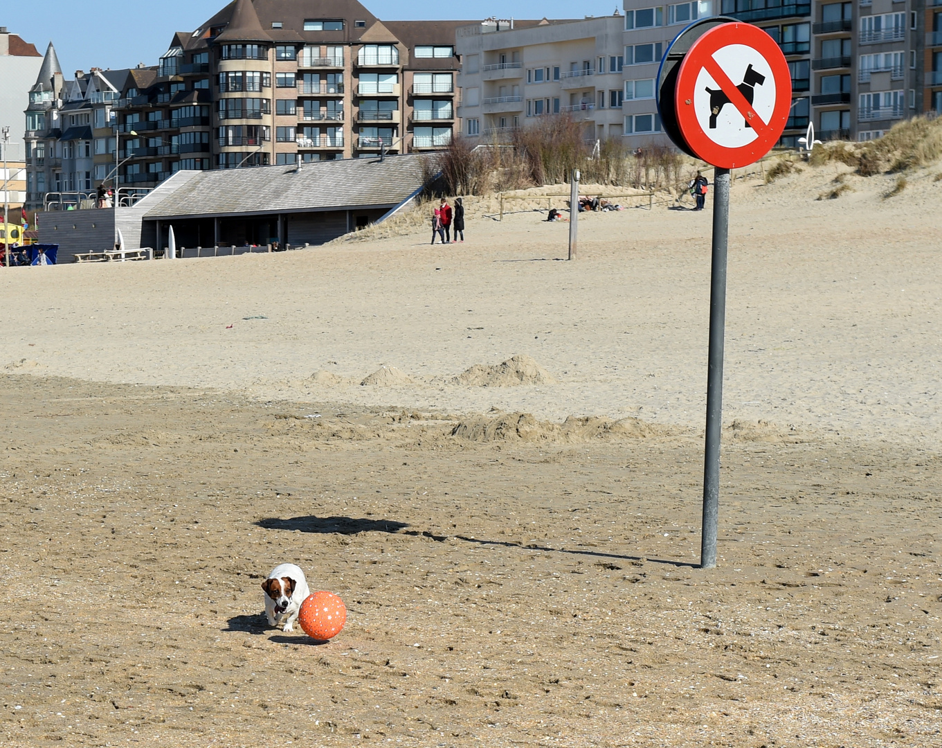 Hunde verboten 