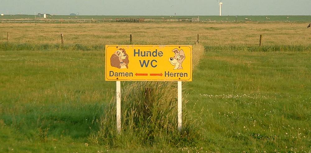 Hunde WC...