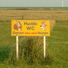 Hunde WC...