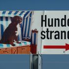 Hunde werden hier bevorzugt verwöhnt ;-)