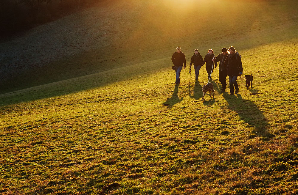 Hundeausflug